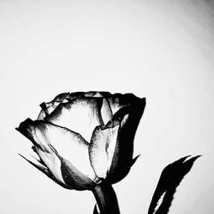 Meet your Posher, Hannah grace